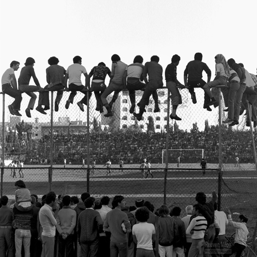 גלריה אחרים